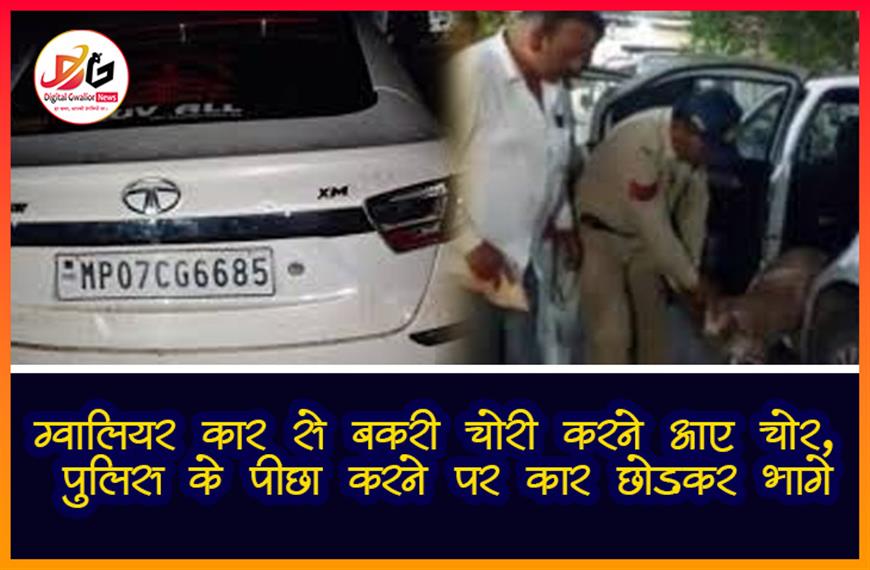 ग्वालियर: कार से बकरी चोरी करने आए चोर, पुलिस के पीछा करने पर कार छोड़कर भागे